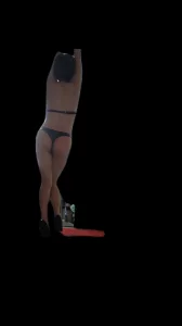 把骚母狗吊起来用鞭子抽（二）